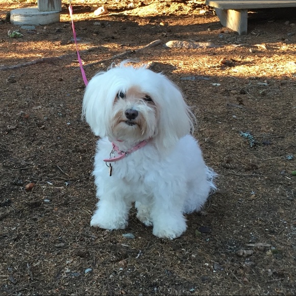 Meet Your Posher, Nancy - Picture 4 of 8